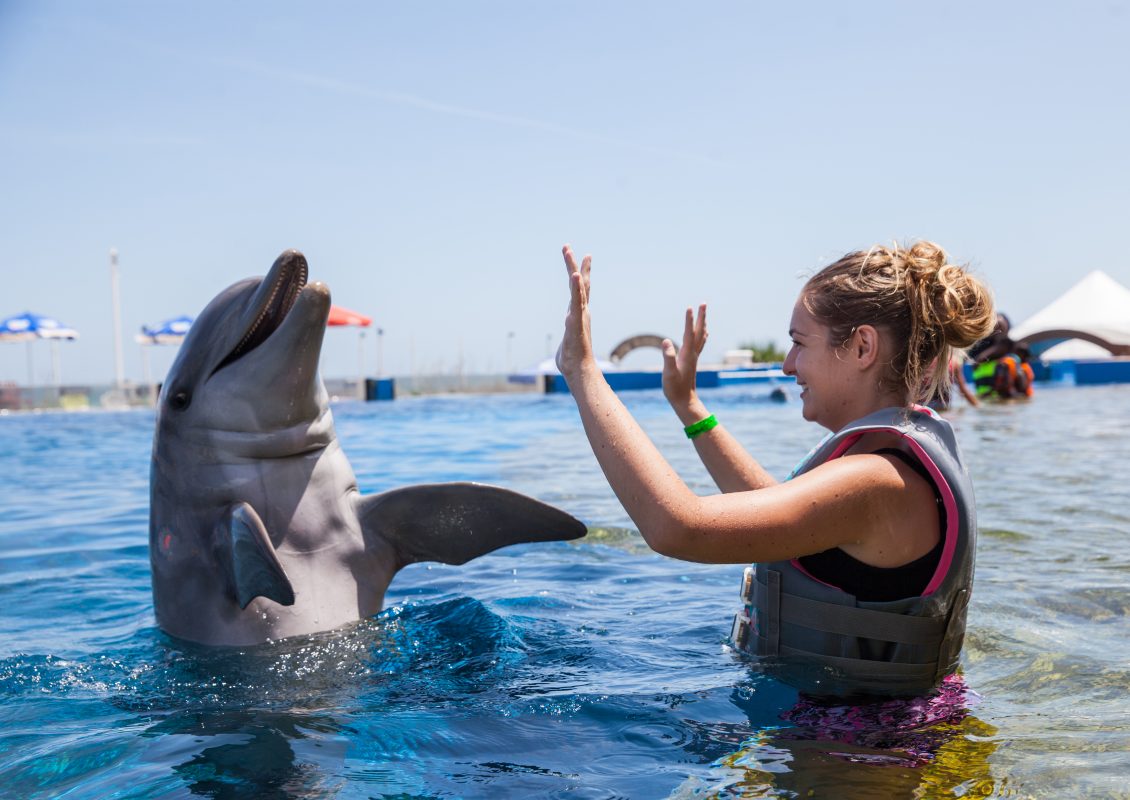 Marineland dolphin adventure in St Augustine, Florida